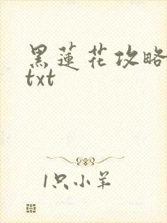 黑莲花攻略手册txt
