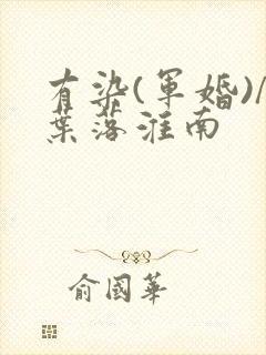 有染(军婚)/叶落淮南