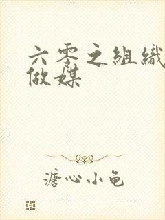 六零之组织给我做媒