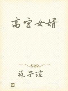 高官女婿