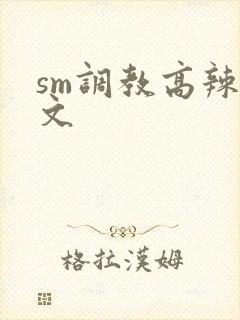 sm调教高辣h文