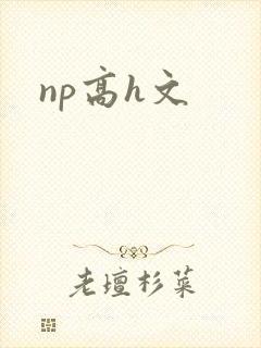 np高h文