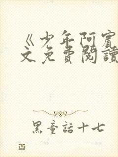 《少年阿宾》全文免费阅读