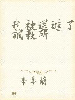 我被送进了私奴调教所