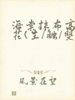 海棠抹布高岭之花(生/触/双)