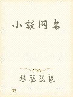 小说网名