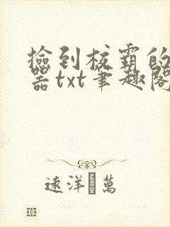 捡到校霸的遥控器txt笔趣阁