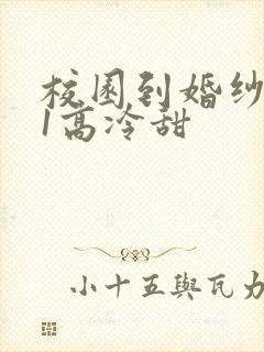 校园到婚纱1V1高冷甜