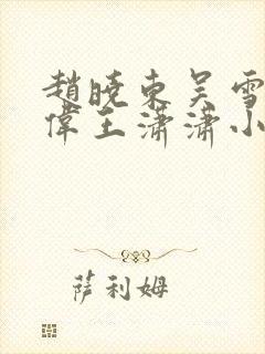 赵晓东吴雪晴郑伟王潇潇小说名字