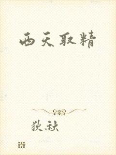 西天取精
