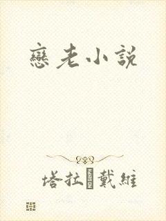 恋老小说