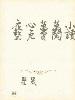 夜心万万小说完整免费阅读全文