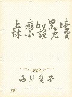 上瘾by黑暗森林小说免费