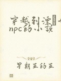 穿越到湮婸世界npc的小说