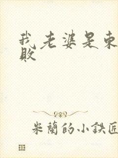 我老婆是东方不败