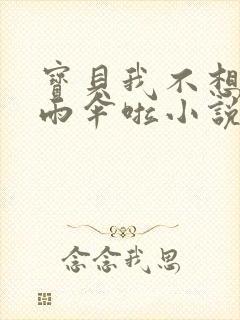 宝贝我不想带小雨伞啦小说