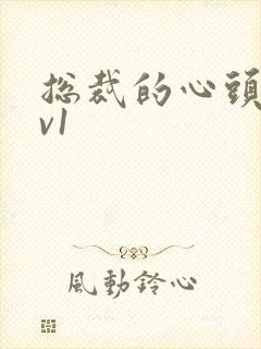 总裁的心头宝1v1