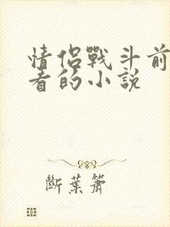 情侣战斗前适合看的小说