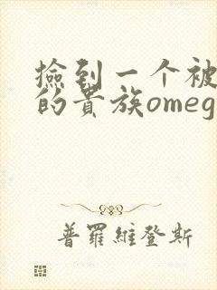 捡到一个被抹布的贵族omega