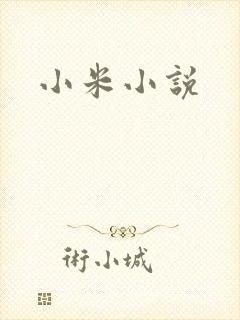 小米小说