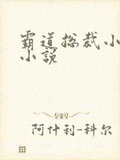 霸道总裁小娇妻小说