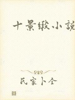 十景缎小说