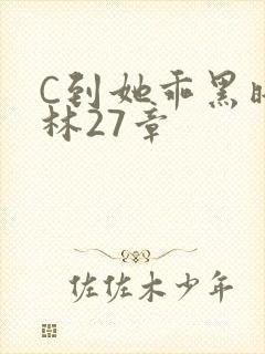 C到她乖黑暗森林27章