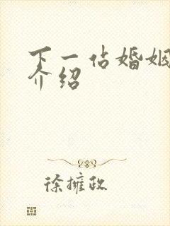 下一站婚姻剧情介绍