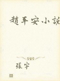 赵平安小说主角