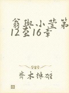 翁与小莹第十部12至16章