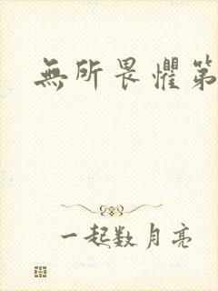 无所畏惧第二部