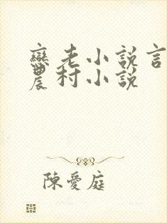 恋老小说言情网农村小说