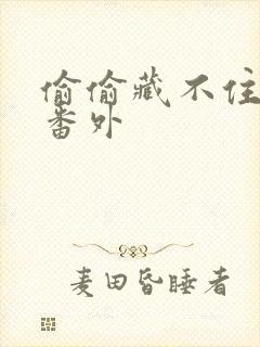 偷偷藏不住新婚番外