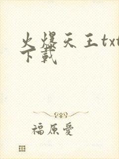 火爆天王txt下载