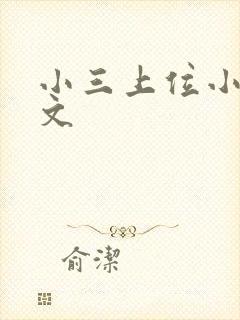 小三上位小说全文