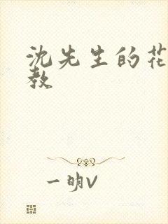 沈先生的花式调教