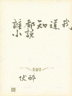 谁都知道我爱你小说