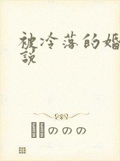 被冷落的婚姻小说