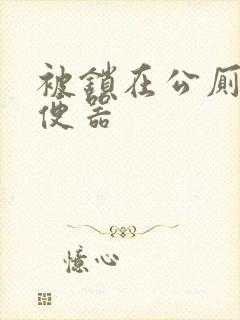 被锁在公厕当坐便器