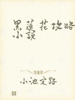 黑莲花攻略手册小说