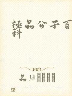 极品公子百度百科