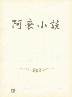阿衰小说