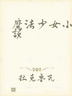 魔法少女小圆小说