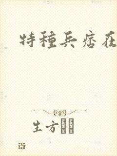 特种兵痞在都市