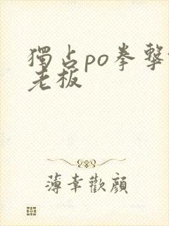 独占po拳击馆老板