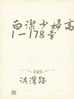白洁少妇高义第1一178章