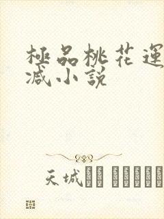 极品桃花运未删减小说