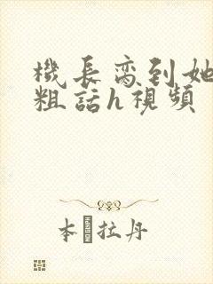 机长脔到她哭h粗话h视频