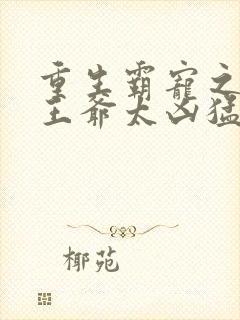 重生霸宠之摄政王爷太凶猛