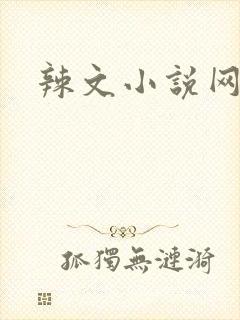 辣文小说网